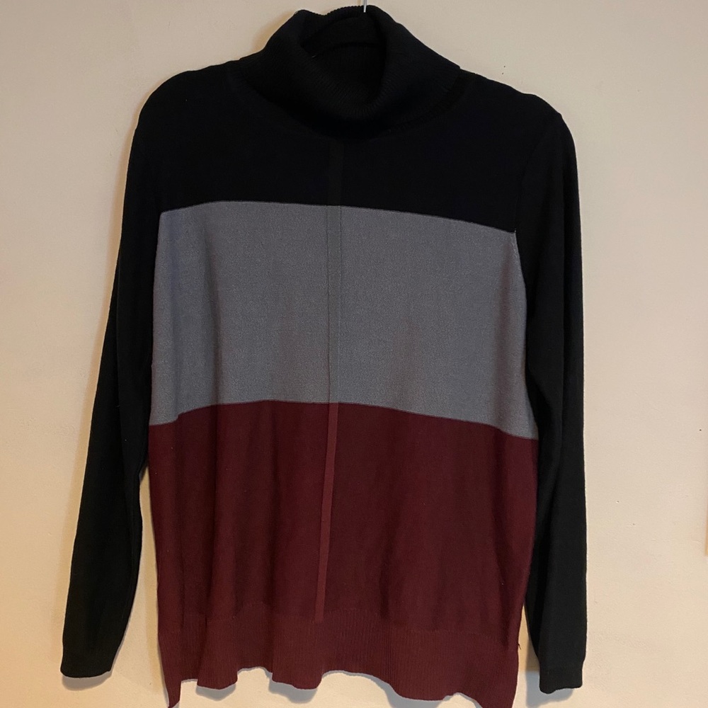 Tri Color Turtleneck